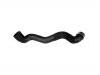Radiator Hose:203 501 02 82